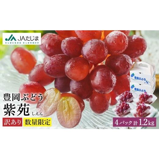 ふるさと納税 果物類 ぶどう 兵庫県 豊岡市 数量限定 訳あり 豊岡ぶどう「紫苑」 約300g×4パック 紫苑 4パック(約1.2kg)