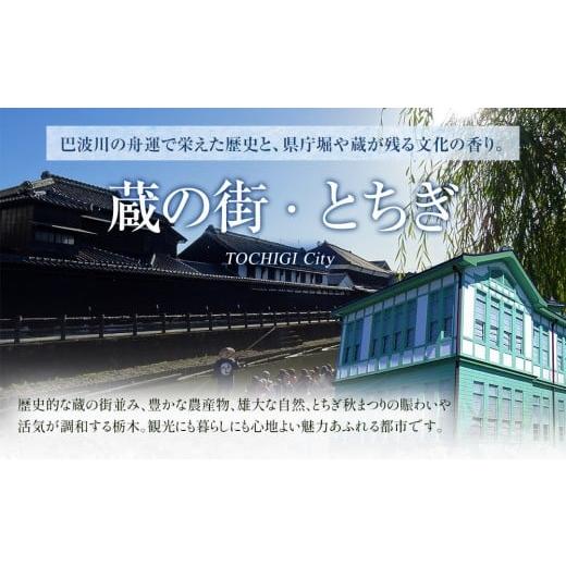 ふるさと納税 家具 本棚・ラック・カラーボックス 栃木県 栃木市 ディスプレイシェルフ２００W インテリア モダン スタイリッシュ 雑貨 日用品 人気 おすすめの画像