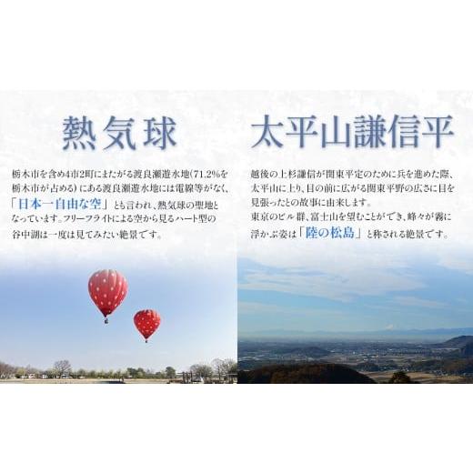 ふるさと納税 家具 本棚・ラック・カラーボックス 栃木県 栃木市 ディスプレイシェルフ２００W インテリア モダン スタイリッシュ 雑貨 日用品 人気 おすすめの画像