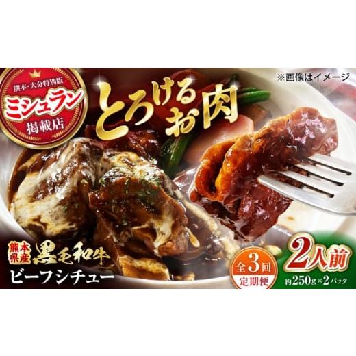 ふるさと納税 牛肉 カレー・シチュー 熊本県 山鹿市 全3回定期便 熊本県産 黒毛和牛 こだわりのビーフシチュー 計2パック (約250g×2パック) ビーフシチュ…