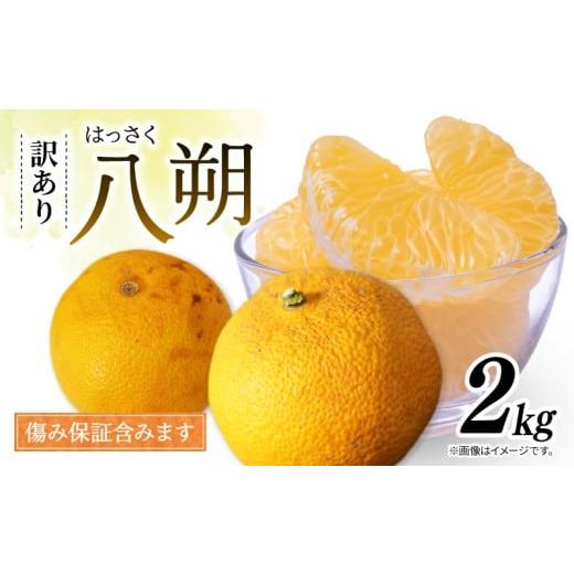 ふるさと納税 みかん・柑橘類 愛知県 南知多町 訳あり 八朔 約2kg 南知多町産 柑橘 果物 フルーツ デザート 人気 おすすめ 愛知県 南知多町 ふるさと納税 ふる…