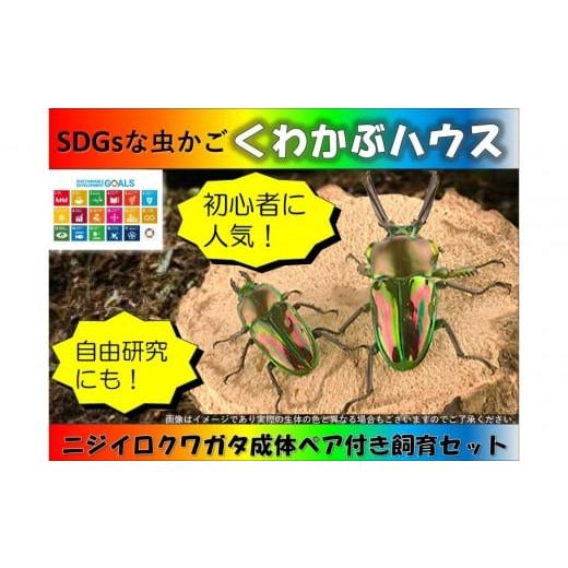 ふるさと納税 福祉施設製品 宮城県 仙台市 SDGsな虫かご「くわかぶハウス」クワガタ成体ペア付き飼育セット