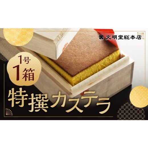 ふるさと納税 菓子 カステラ 長崎県 時津町 特撰カステラ 1号 / 1号(580g) 和三盆糖・カステラ専用卵使用 長崎 文明堂
