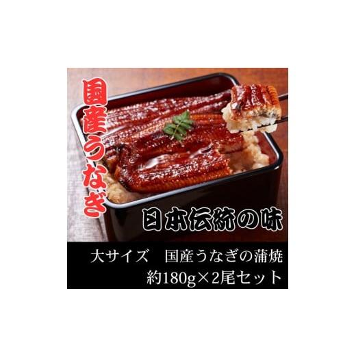 ふるさと納税 うなぎ 岡山県 岡山市 国産うなぎ蒲焼 大サイズ 約180g×2尾セット