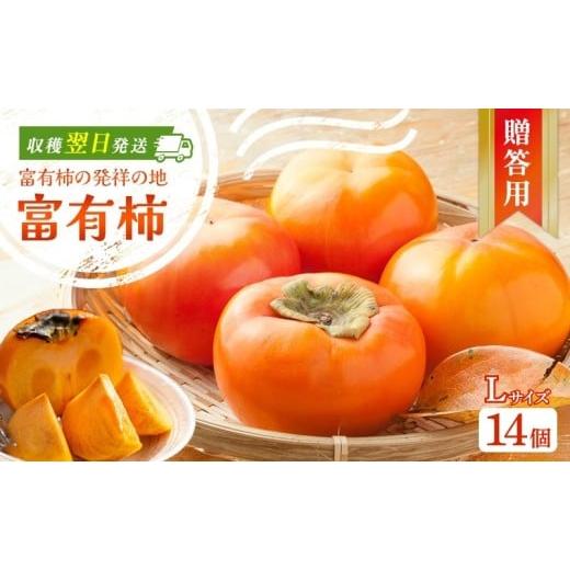 ふるさと納税 果物類 柿 岐阜県 瑞穂市 富有柿発祥の地から収穫翌日発送 贈答用 富有柿Lサイズ14個|かき フルーツ カキ 果物 くだもの 産地直送 岐阜県 瑞穂…