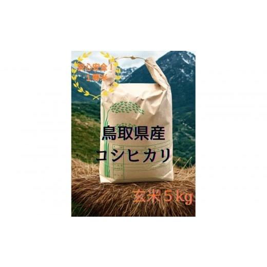 ふるさと納税 玄米 鳥取県 琴浦町 玄米 令和7年産 コシヒカリ5kg