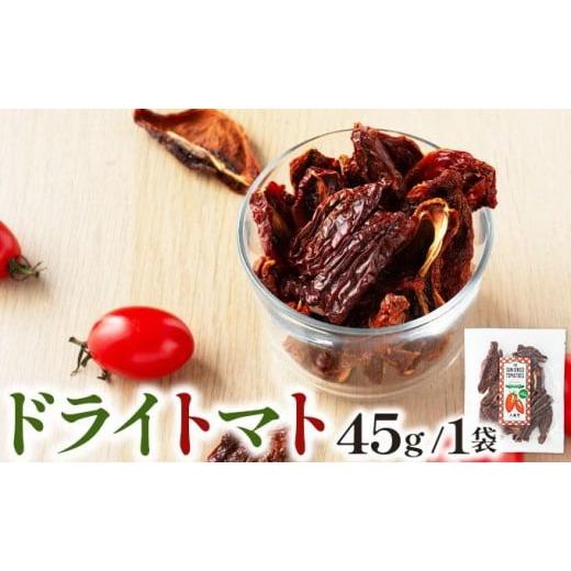ふるさと納税 乾物 宮崎県 串間市 ドライトマト45g/1袋