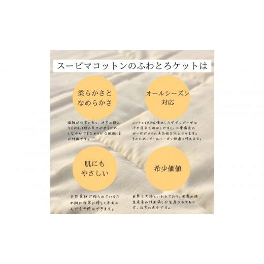 ふるさと納税 タオル・寝具 毛布 愛知県 名古屋市 最高級純コットン スーピマコットンのふわとろケット 0.5kgの画像