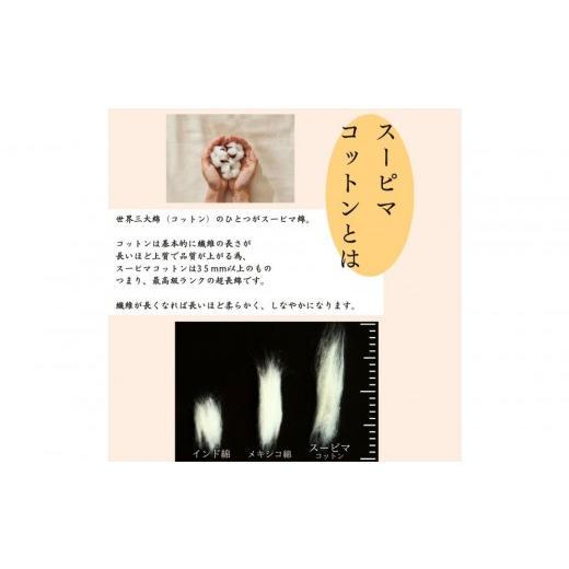 ふるさと納税 タオル・寝具 毛布 愛知県 名古屋市 最高級純コットン スーピマコットンのふわとろケット 0.5kgの画像