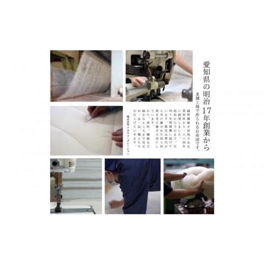 ふるさと納税 タオル・寝具 毛布 愛知県 名古屋市 最高級純コットン スーピマコットンのふわとろケット 0.5kgの画像