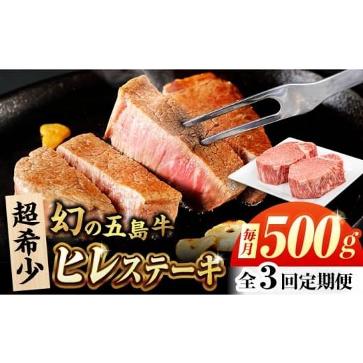 ふるさと納税 牛肉 ヒレ 長崎県 五島市 3回定期便 五島牛 ヒレ 250g×2枚 五島市/ごとう農業協同組合