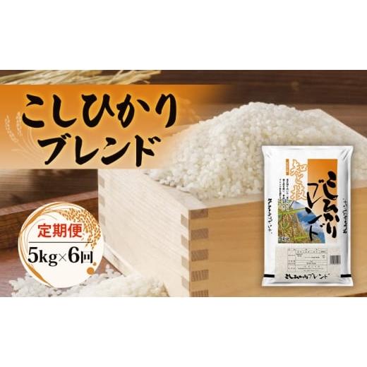 ふるさと納税 米 コシヒカリ 新潟県 新潟市 定期便 コシヒカリブレンド5kg×6回 米 コメ 精米 定期 新潟県
