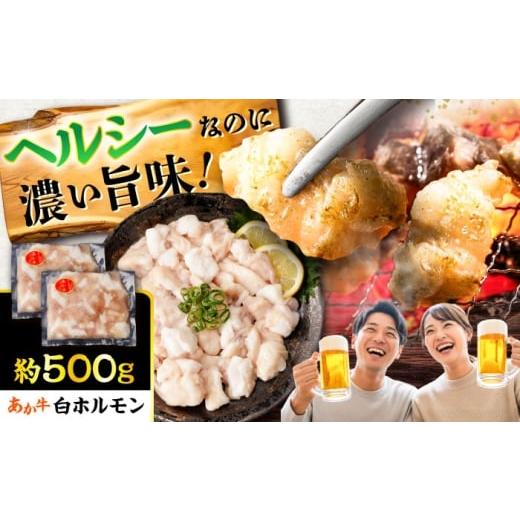 ふるさと納税 牛肉 ホルモン 熊本県 菊陽町 あか牛 白 ホルモン 約500g (約250g×2P) / 牛肉 褐毛和種 ホルモン 肉 九州産 国産牛 熊本県産 小分け あかうし …
