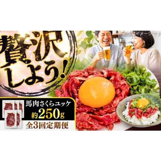 ふるさと納税 馬肉 熊本県 菊陽町 全3回定期便 馬肉さくらユッケ 約250g(約50g×5パック) / 馬肉 ユッケ 馬刺しユッケ 小分け 生食用 熊本肥育 桜ユッケ 馬…