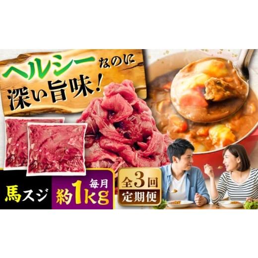 ふるさと納税 馬肉 熊本県 菊陽町 全3回定期便 馬スジ 約1kg (約500g×2パック) / 馬肉 スジ 馬すじ 煮込み 煮物 カレー お肉 スジ肉 スジ すじ肉 料理用 馬…