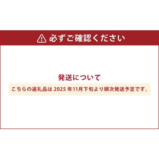 ふるさと納税 カバン トートバッグ 北海道 小樽市  UNISEX 北海道ダウン ： RETAR NUY ／ レタールヌイ ［RURA ／ ルラ］ DOWN TOTE BAG ［BLACK］ 2025年11月…の画像