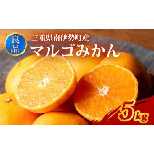 ふるさと納税 果物類 みかん 三重県 南伊勢町 訳あり みかん 温州みかん 約5kg 良品 家庭用 期間限定 柑橘 蜜柑 mikan フルーツ 果物 くだもの 傷 ふるさと納…