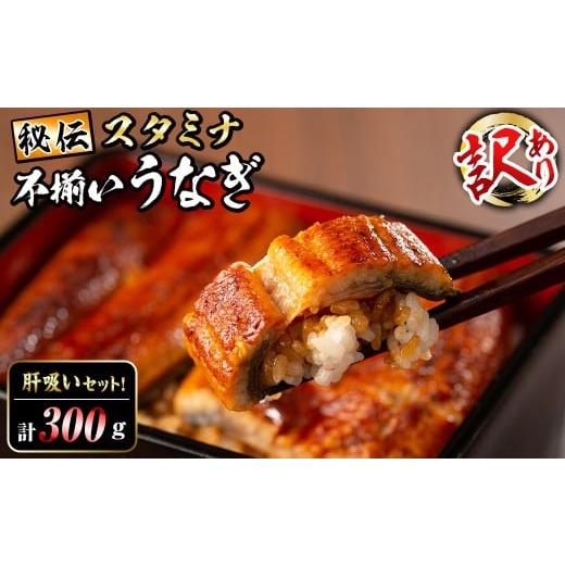 ふるさと納税 うなぎ 鹿児島県 志布志市 訳あり 鹿児島県産 秘伝のスタミナうなぎ蒲焼き 計300g以上/2尾以上 肝吸いセット a5-350 通常配送 配送 入金確認後…