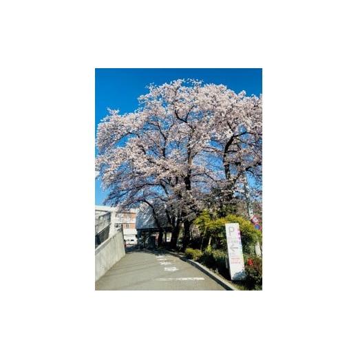 ふるさと納税 体験チケット 山梨県 大月市 先行予約 令和8年2月16〜令和8年3月23日 人間ドック 1名様(胃内視鏡検査)(日帰り)大月市立中央病院