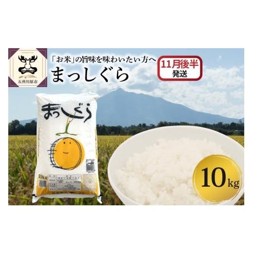 ふるさと納税 米 青森県 五所川原市 2025年11月後半発送 まっしぐら10kg(白米) 11月後半発送(16日〜末日)