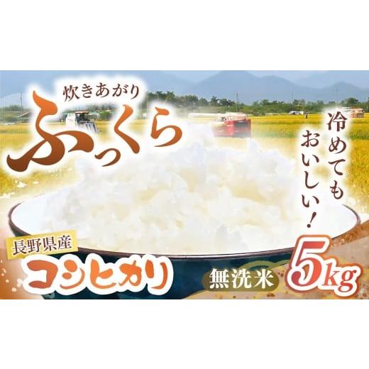 ふるさと納税 米 コシヒカリ 長野県 松川村 令和7年度産 長野県産 コシヒカリ 無洗米 5kg | 米 こめ コメ お米 白米 はくまい 精米 無洗米 コシヒカリ 長野県…