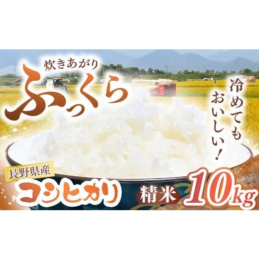 ふるさと納税 米 コシヒカリ 長野県 松川村 長野県産 コシヒカリ 精米 10kg | 米 こめ コメ お米 白米 はくまい 精米 コシヒカリ 長野県 松川村 信州 精米 10k…