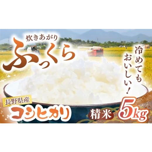 ふるさと納税 米 コシヒカリ 長野県 松川村 令和7年度産 長野県産 コシヒカリ 精米 5kg | 米 こめ コメ お米 白米 はくまい 精米 コシヒカリ 長野県 松川村 …