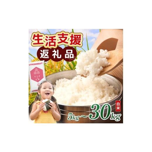 ふるさと納税 米 ブレンド 滋賀県 愛荘町 令和7年産含む 近江ブレンド米 5kg 愛荘町産 白米 精米 米 お米 単一原料米 ブランド米 銘柄米 国産 ご飯 白飯 ゴハ…