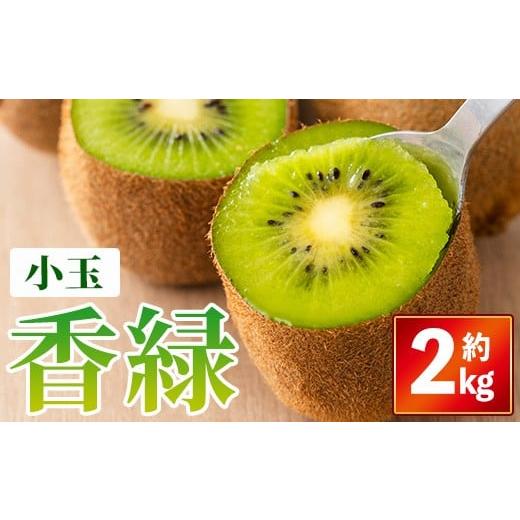 ふるさと納税 果物類 香川県 まんのう町 先行予約 2025年11月下旬以降順次発送予定 香川県産 香緑キウイ(約2kg/小玉) man354 Aglio nero