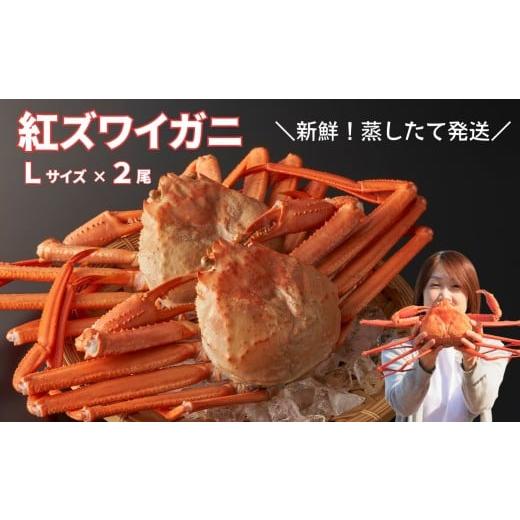 ふるさと納税 カニ ずわいガニ 新潟県 糸魚川市 11月後半出荷 日本海直送 紅ズワイガニ Lサイズ(650g前後)2尾 ベニズワイガニ 蟹 蒸し蟹 天下の険親不知か…
