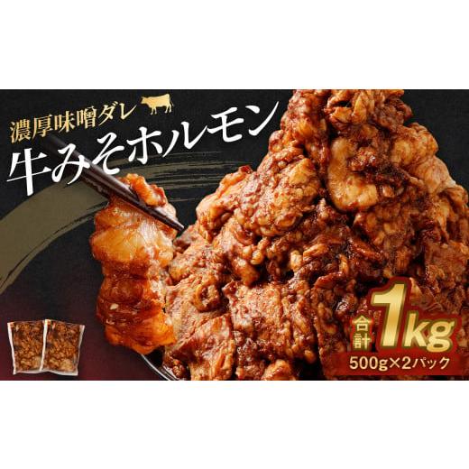 ふるさと納税 牛肉 ホルモン 熊本県 水上村 牛みそホルモン 500g×2パック 計1kg 牛 肉 味噌 ホルモン