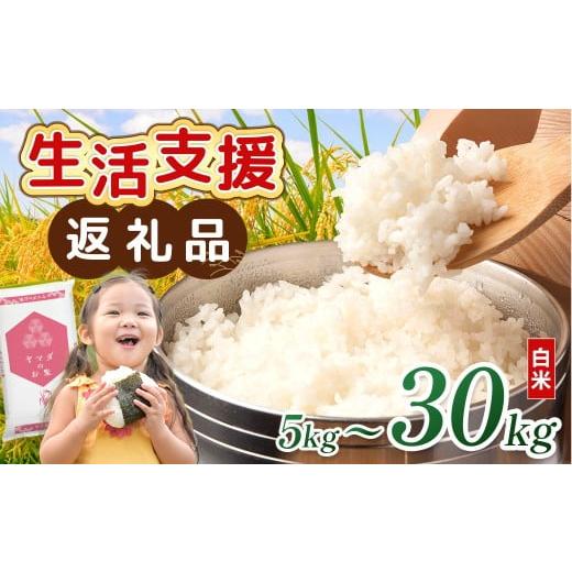 ふるさと納税 米 ブレンド 滋賀県 愛荘町 令和7年産含む 近江 