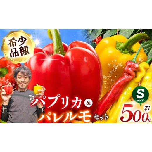 ふるさと納税 野菜類 長野県 松本市 パプリカ&パレルモ(希少品種) Sセット 約500g | パプリカ パレルモ 野菜 希少 ジューシー フレッシュ ヘルシー ふるさ…