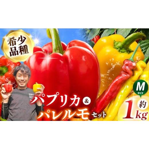ふるさと納税 野菜類 長野県 松本市 パプリカ&パレルモ(希少品種) Mセット 約1kg | パプリカ パレルモ 野菜 希少 ジューシー フレッシュ ヘルシー ふるさと…