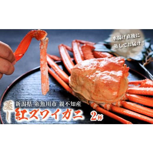 ふるさと納税 カニ ずわいガニ 新潟県 糸魚川市 11月後半出荷 日本海直送 紅ズワイガニ(蒸しガニ) Sサイズ(350g前後)2尾 天下の険親不知からお届けします…