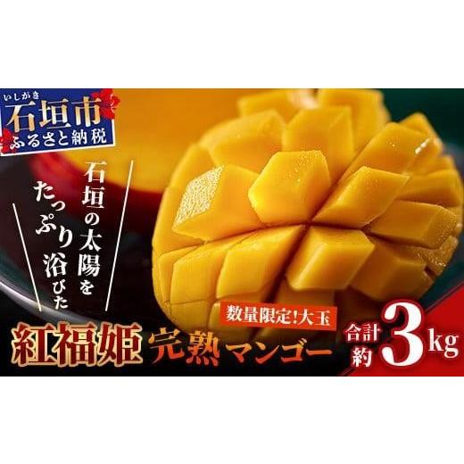 ふるさと納税 マンゴー 沖縄県 石垣市 2026年発送 先行予約 数量限定 「紅福姫ブランド」石垣島のマンゴー 約3kg 沖縄県 石垣市 産地直送 旬 石垣島産 マンゴ…