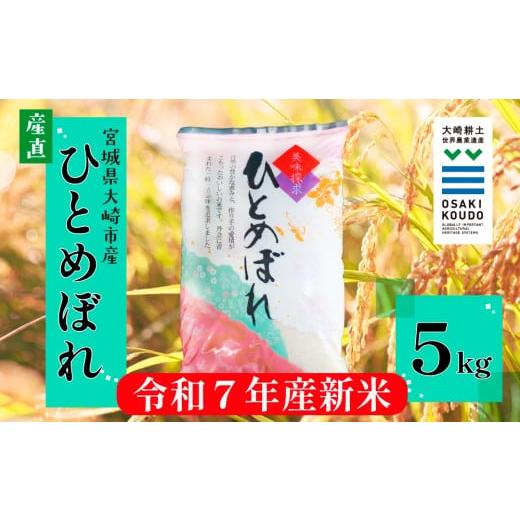 ふるさと納税 米 ひとめぼれ 宮城県 大崎市 令和7年産 宮城県大崎市古川産 ひとめぼれ[精米]5kg|ふっくら甘みの優等生米