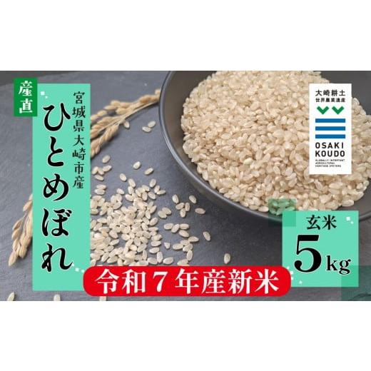 ふるさと納税 米 ひとめぼれ 宮城県 大崎市 令和7年産 宮城県大崎市古川産 ひとめぼれ[玄米]5kg|自然のやさしさが詰まったふっくら米