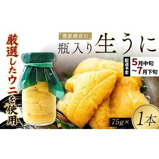 ふるさと納税 ウニ 岩手県 山田町 2026年先行予約 菅原商店の生うに75g 1本 令和8年5月中旬〜7月下旬配送予定 配送日指定不可 沖縄・離島配送不可 三陸山田 …