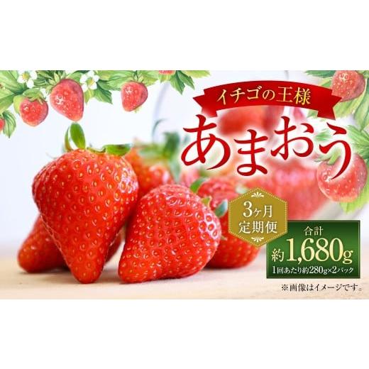 ふるさと納税 いちご 福岡県 太宰府市 3ヶ月定期便 いちごの定期便 福岡県産 あまおう 約280g×2パック 合計1680g 2026年2月上旬〜4月上旬発送予定 イチゴ い…