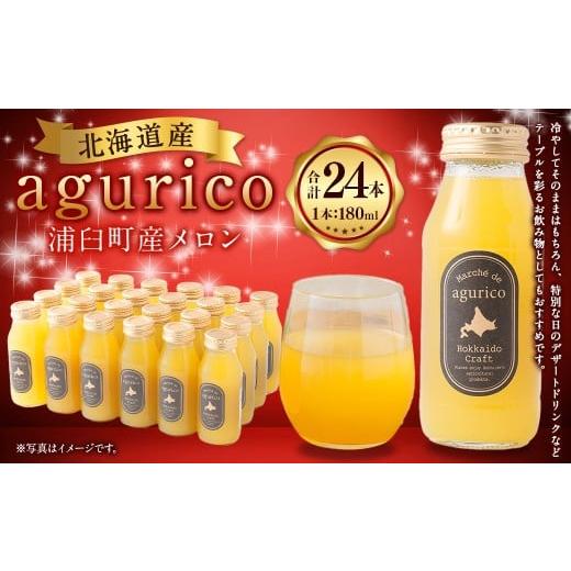ふるさと納税 果汁飲料 北海道 浦臼町 agurico 浦臼町産 メロン 180ml×24本 計4.32L メロンジュース ジュース キングメルティー フルーツ 果物 北海道 浦臼町