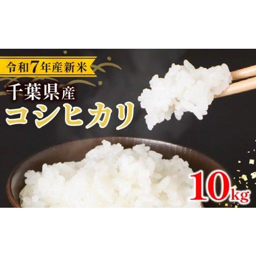 ふるさと納税 米 コシヒカリ 千葉県 旭市 令和7年産 米 こしひかり 10kg コシヒカリ 新米 コメ お米 こめ 精米 白米 新米10kg 7年産 備蓄 防災 産地直送 送料…
