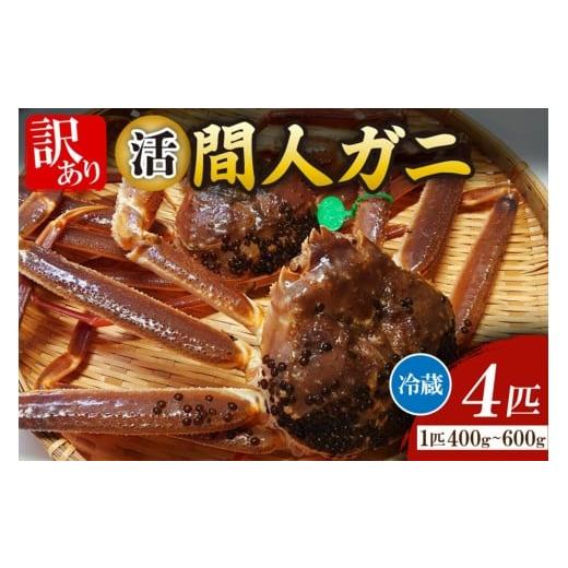 ふるさと納税 カニ ずわいガニ 京都府 京丹後市 間人漁港仲買人の丸友鮮魚三代目・自慢の間人ガニ 活 生・訳アリ・間人ガニ(ズワイガニ 松葉ガニ) 400〜600…