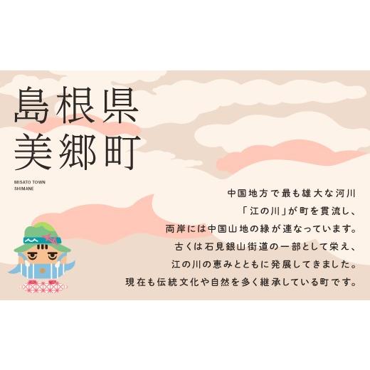 ふるさと納税 伝統技術 島根県 美郷町 石見神楽面 鍾馗 伝統芸能 神楽