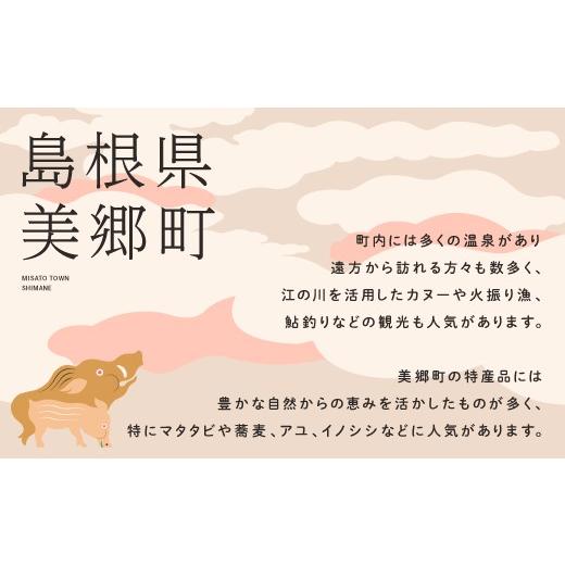 ふるさと納税 伝統技術 島根県 美郷町 石見神楽面 鍾馗 伝統芸能 神楽