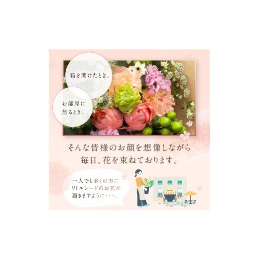 ふるさと納税 雑貨・日用品 花 東京都 調布市 お楽しみ 3か月 お届け お花の定期便 「Medium」 | ブーケ タイプ 本数7-10本 高さ20-22cm お花 flower フラワー…の画像