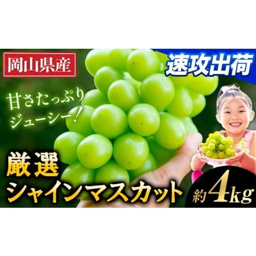 ふるさと納税 ぶどう マスカット 岡山県 矢掛町 すぐ届く スピード速攻出荷 3~7営業日発送 厳選 シャインマスカット 約4kg [3~7営業日以内に発送] シャイン…