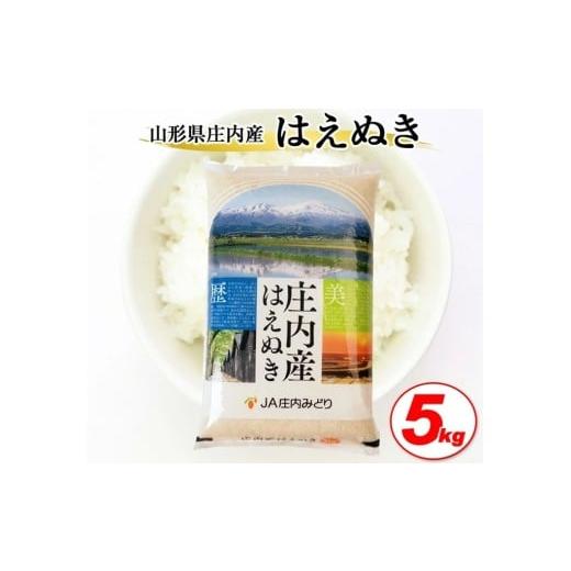 ふるさと納税 米 はえぬき 山形県 酒田市 令和7年産 精米 庄内産 はえぬき 5kg×1袋 JM