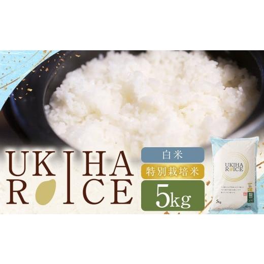 ふるさと納税 米 ヒノヒカリ 福岡県 うきは市 UKIHA RICE 白米 5kg (特別栽培米) 2025年11月上旬から2026年3月下旬発送予定 ヒノヒカリ ひのひかり 精米 米 …