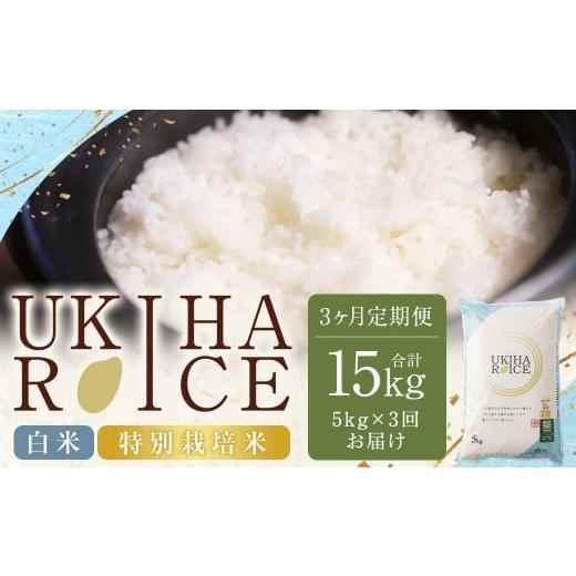 ふるさと納税 米 ヒノヒカリ 福岡県 うきは市 3ヶ月定期便 みずほファーム UKIHA RICE 白米 5kgx3回 (特別栽培米) 計15kg ヒノヒカリ ひのひかり 精米 米 …